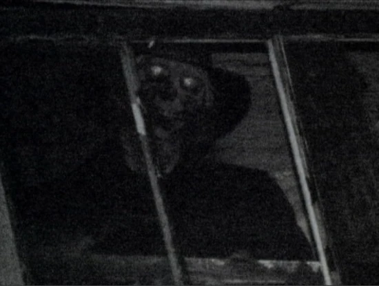 skeleton creek photo